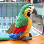 Papagaio em Pelúcia
